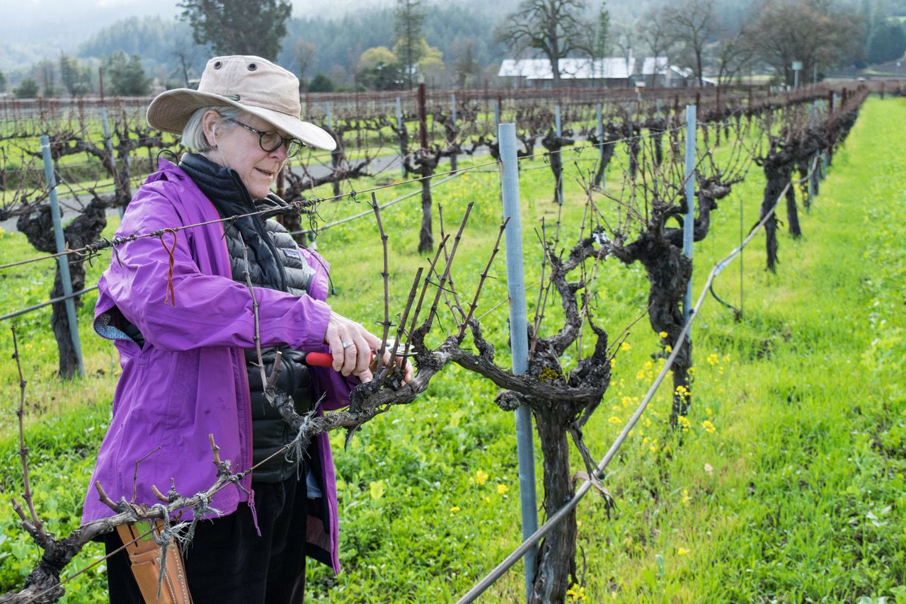 Cathy Corison Took the Other Path