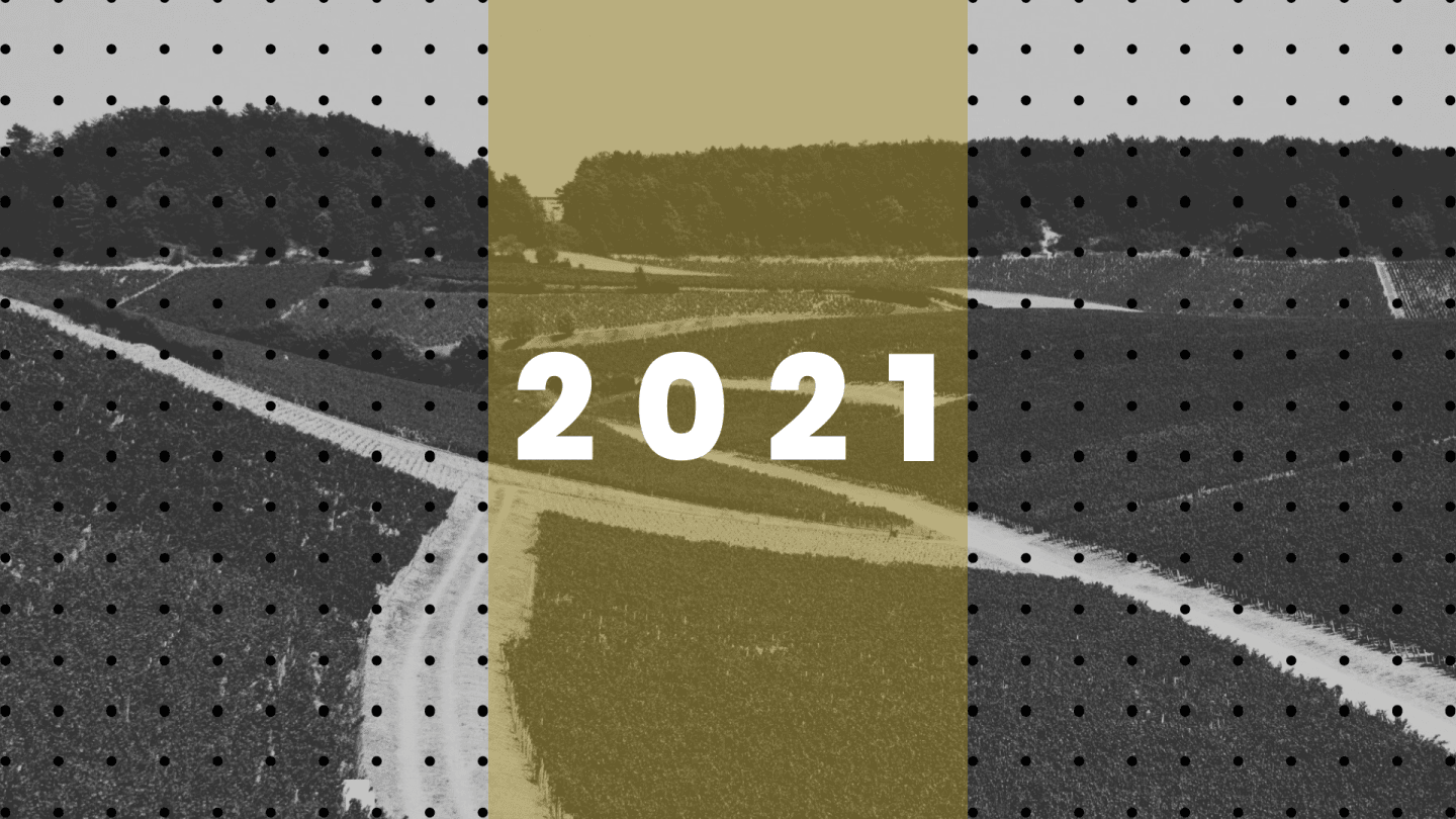 What You Need to Know About the 2021 Vintage for White Burgundy