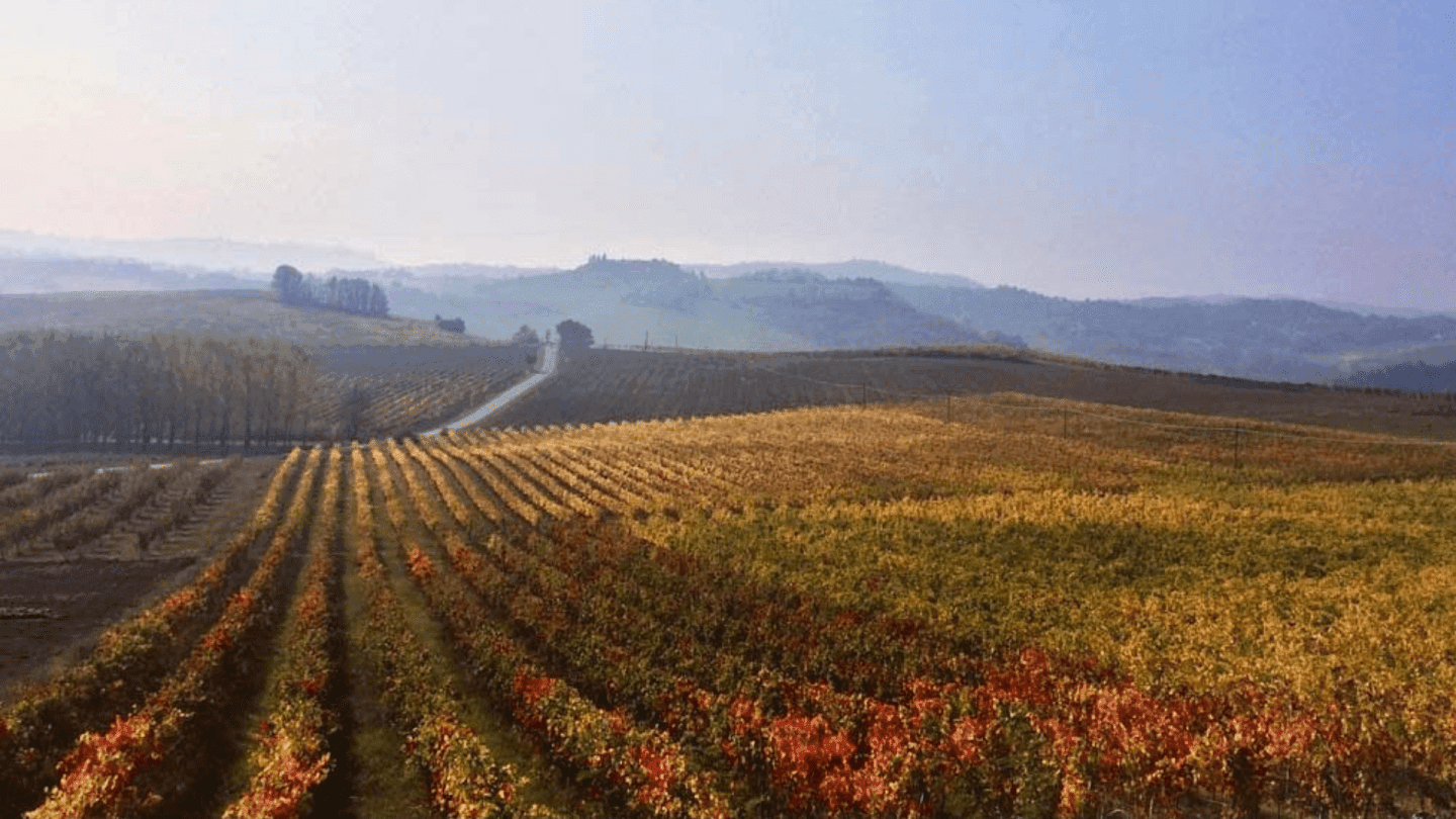 Is Grignolino The New Nebbiolo?