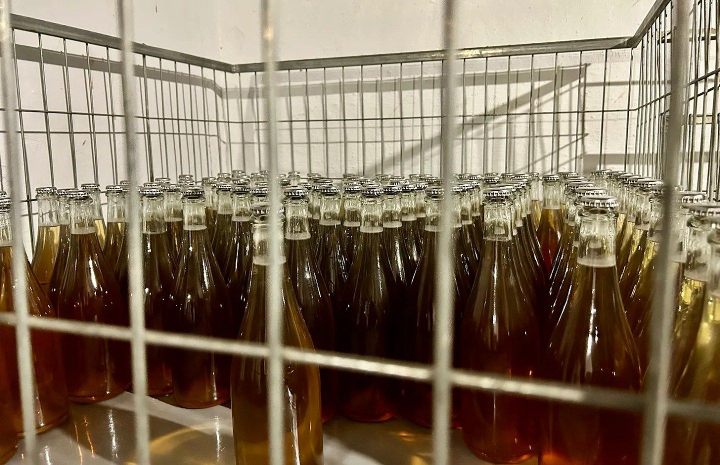 Revolution Is Not A Wine Tasting