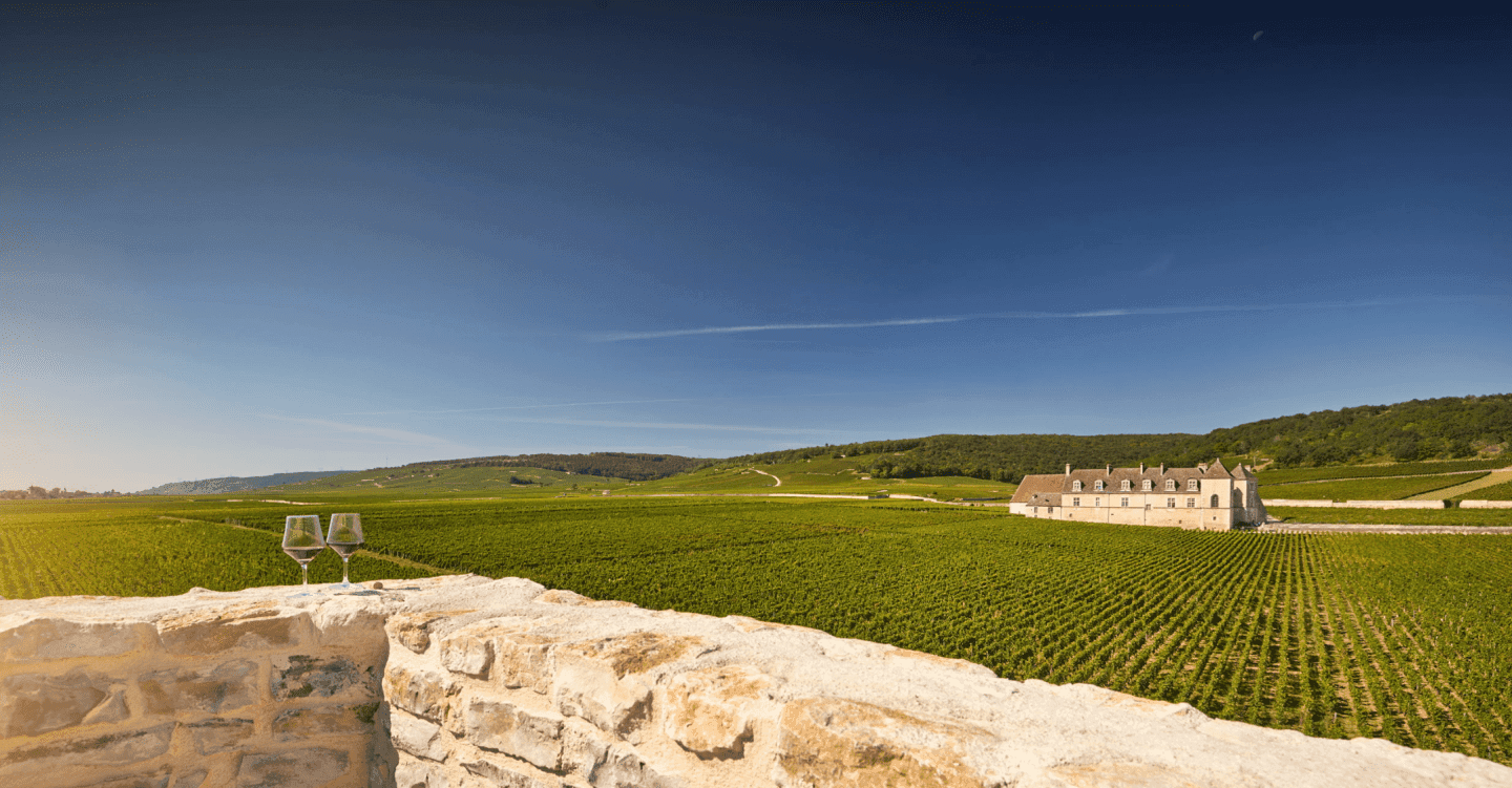 What You Need to Know About 2022 Red Burgundy