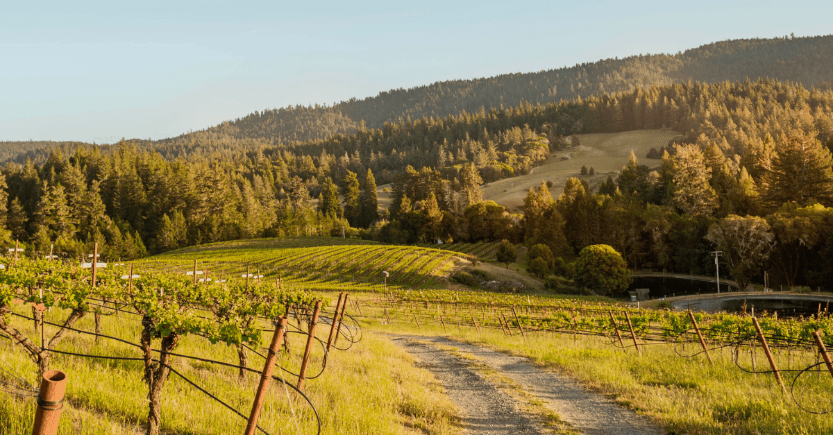Anderson Valley Dispatch