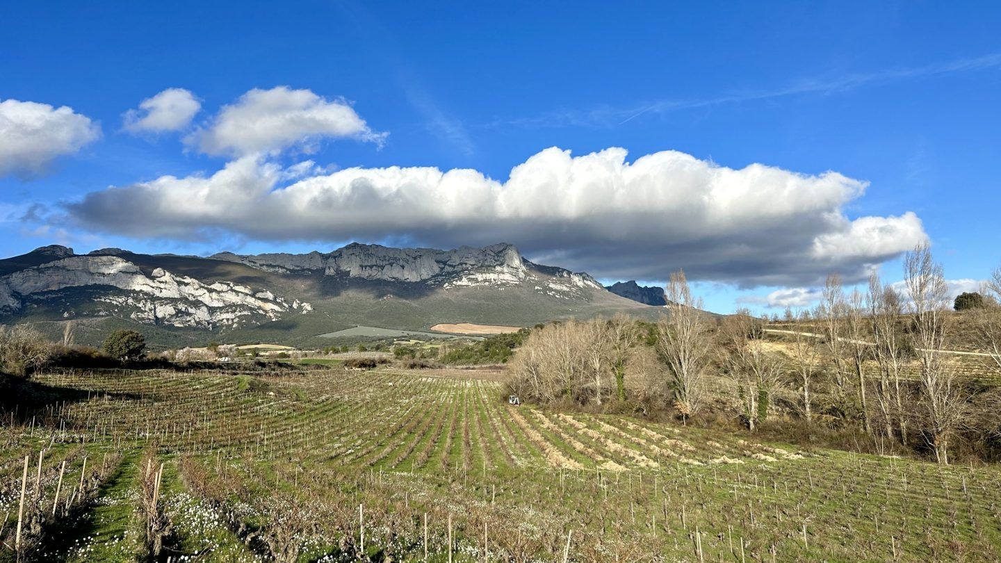 Riding Rioja’s New Wave