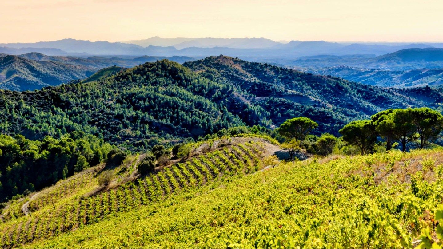 The Subtler Side of Priorat