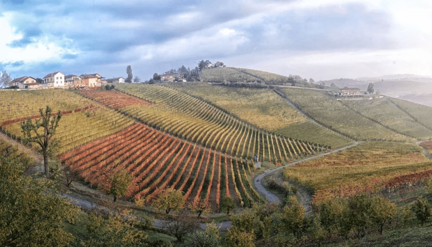 Your Guide to Piedmont’s Most Recent Nebbiolo Vintages