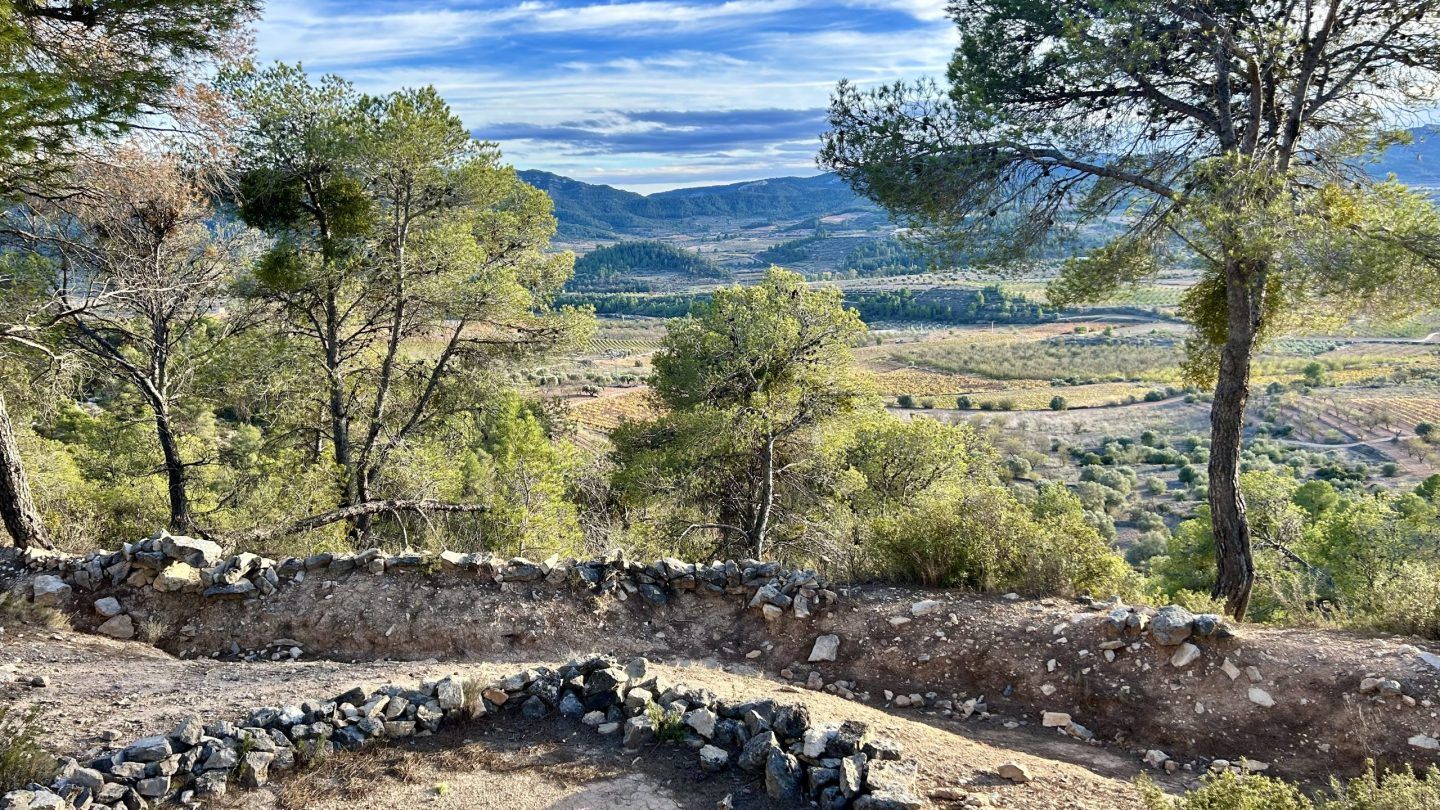 Homage to Catalonia Wine