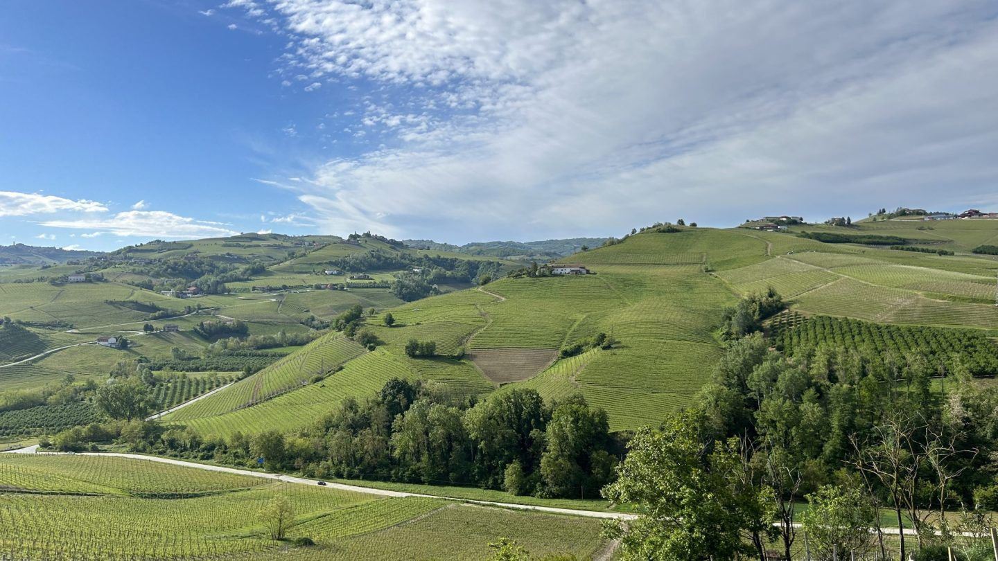 A Challenge to the Conventional Wisdom on Nebbiolo