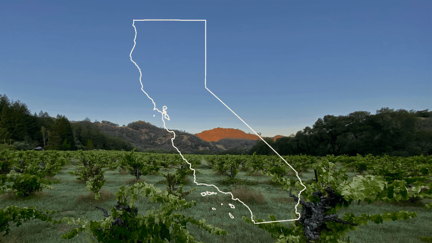 9 Next-Generation California Winemakers to Watch