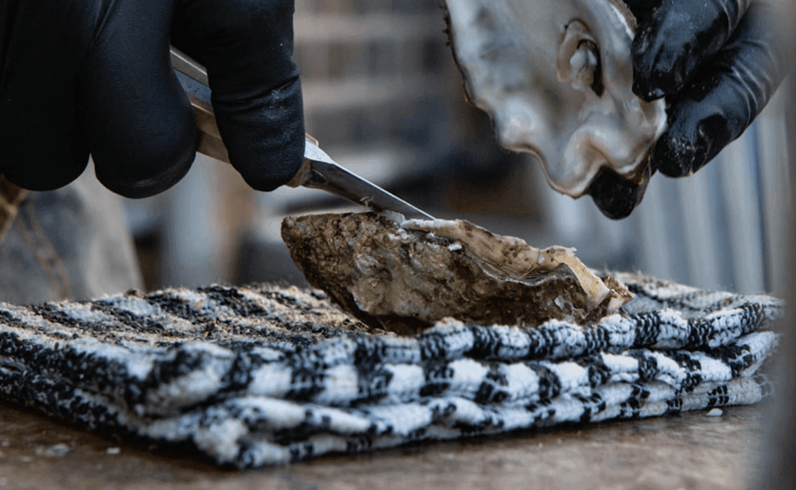 You've Got Oysters. We've Got Wine Ideas.