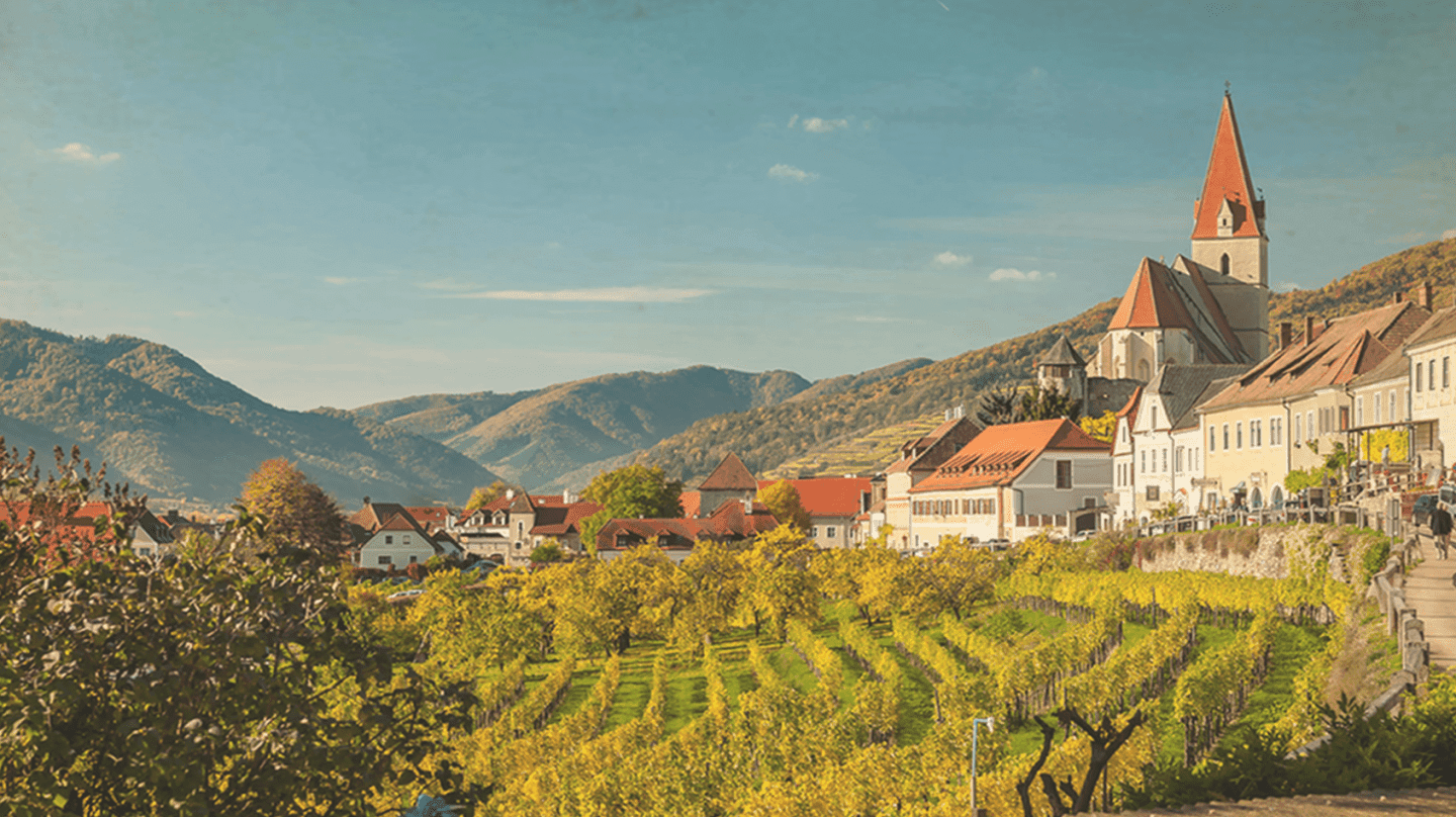 Forget Provence. Austrian Rosé Is The Best In The World.