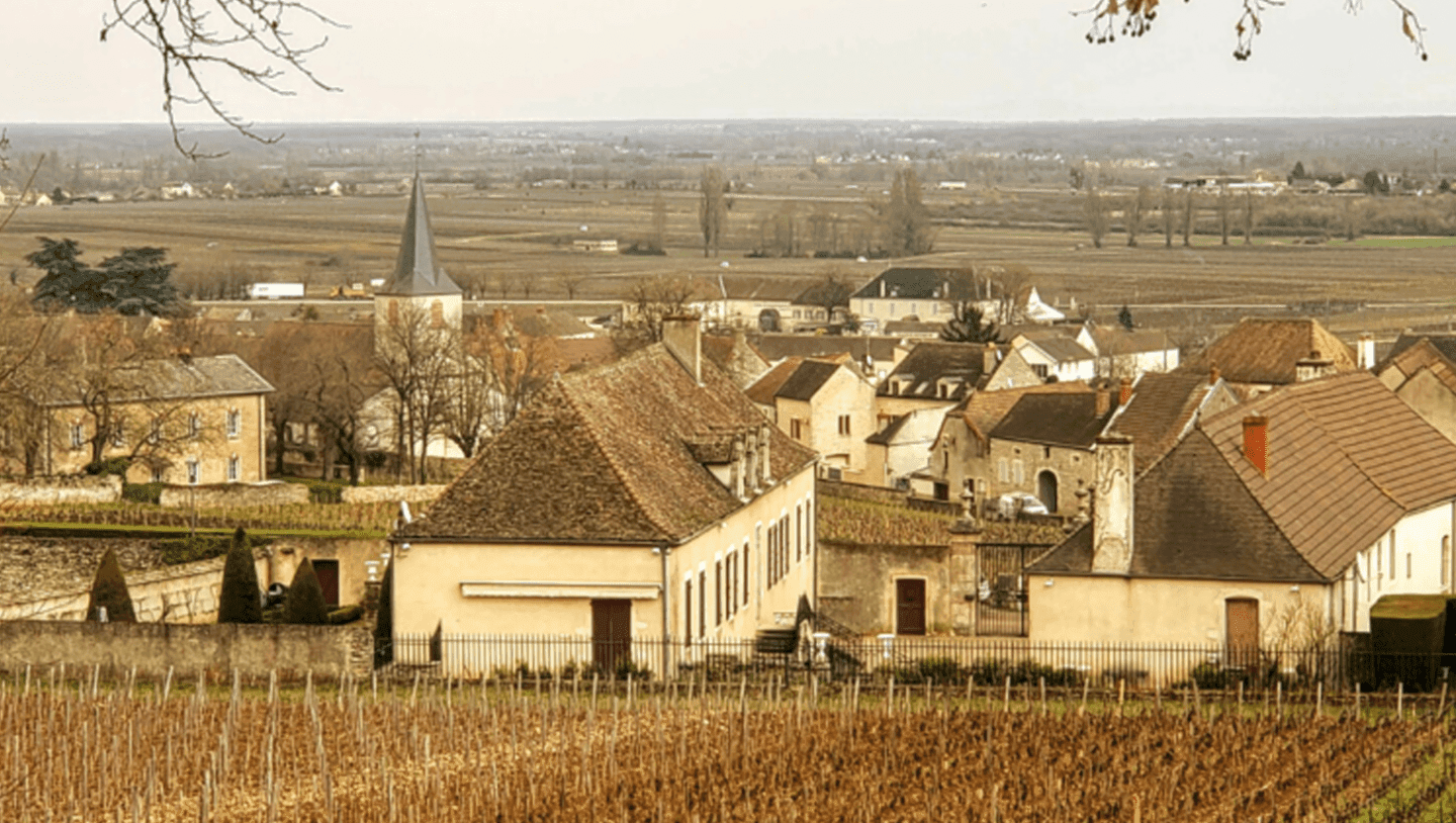 4 Producers We Love from Saint-Aubin