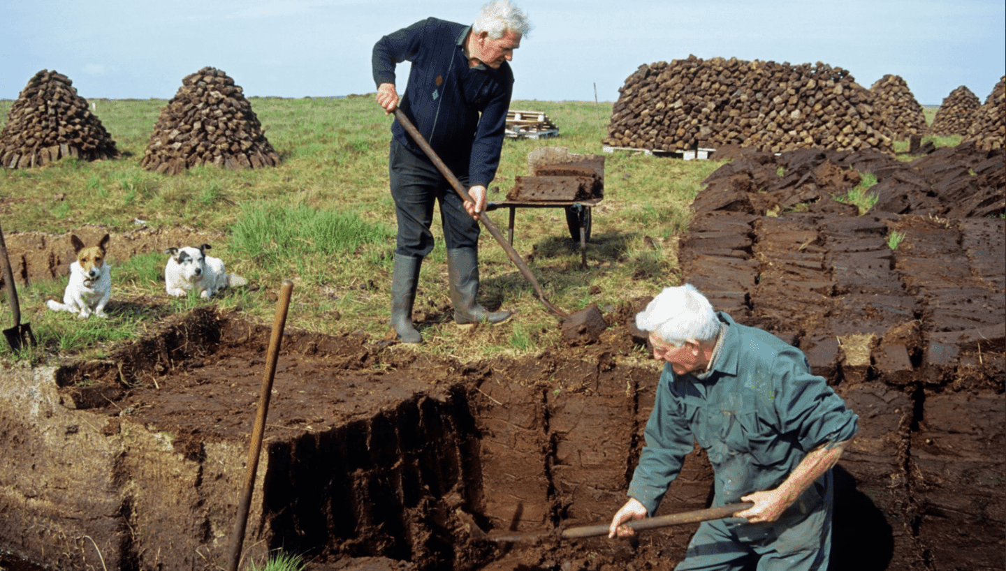 The 4-Minute Guide to . . . Peated Whiskey Beyond Scotland