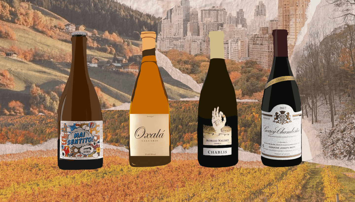 29 Wines To Drink Right Now for Fall