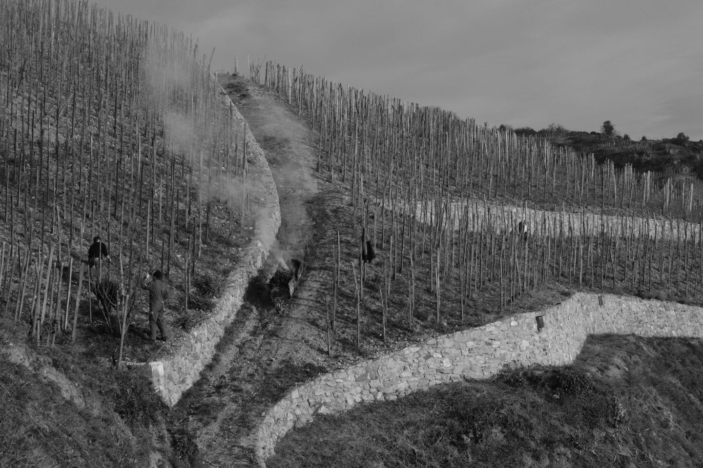 In The Cellar With . . . Jean Gonon of Domaine Pierre Gonon