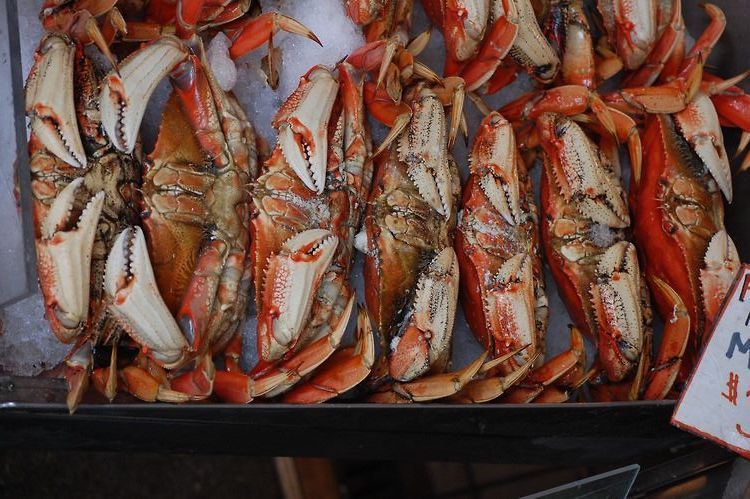 3 Wines For . . . Crab Cakes