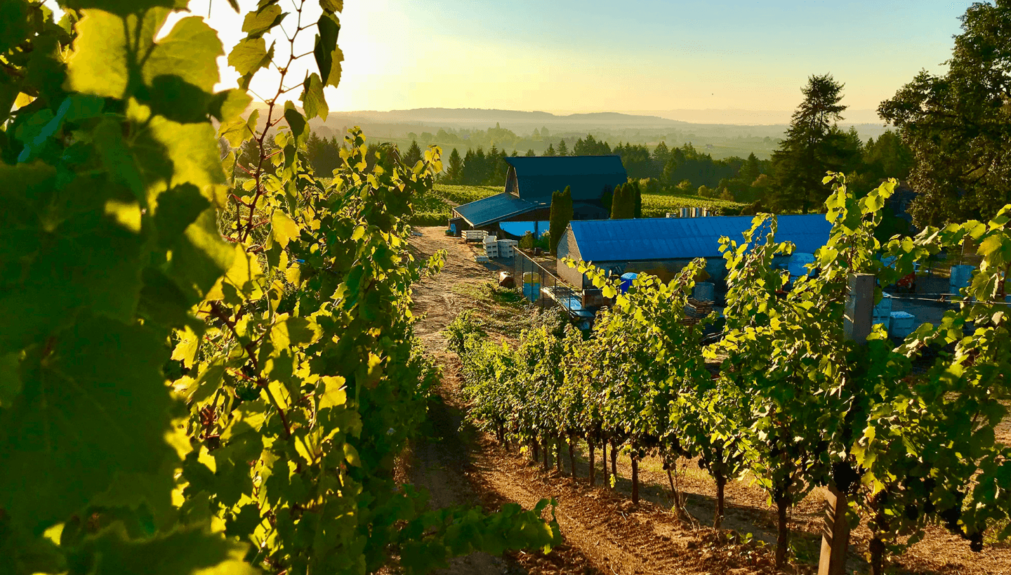 Oregon’s Next Great Red Wines