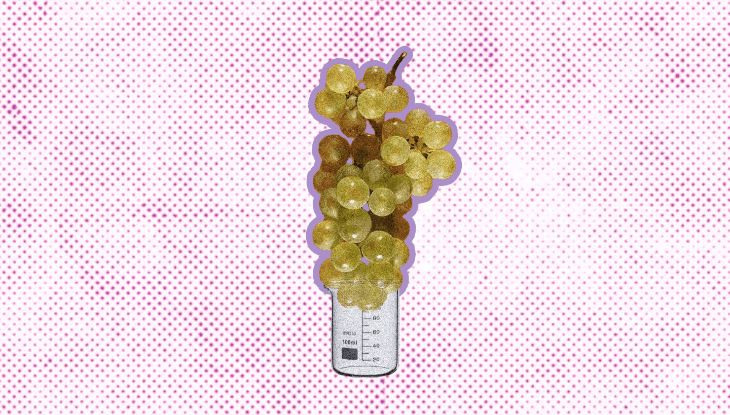 Aligoté And The Frontiers of Burgundy