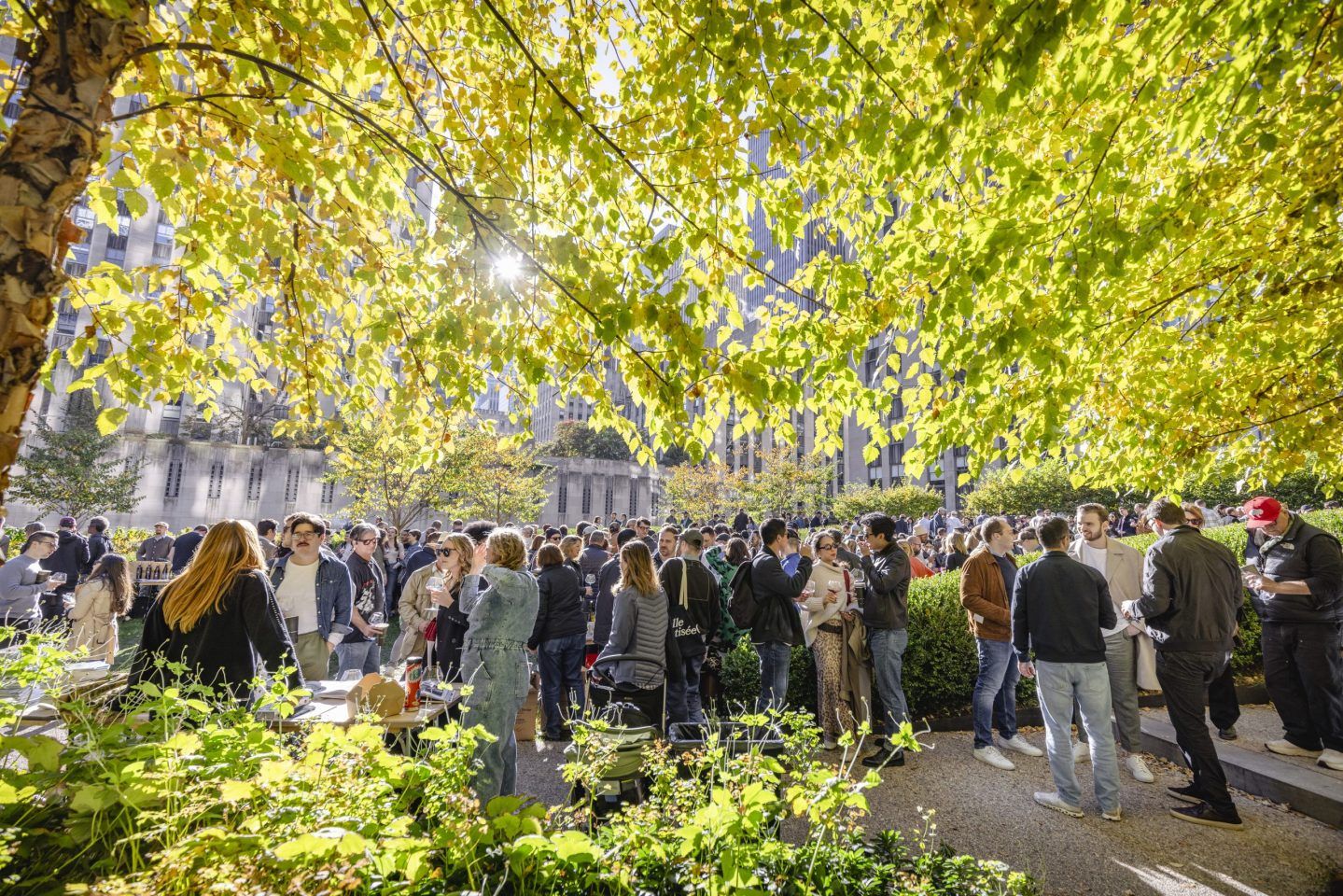 The Basics of Blaufränkisch