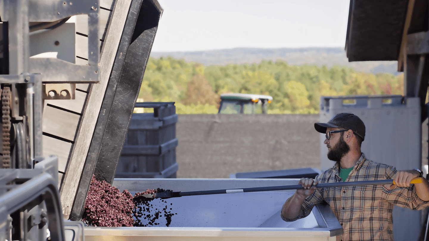 The State of the Finger Lakes. (And Why Cabernet Franc Will Become Its Most Important Grape)