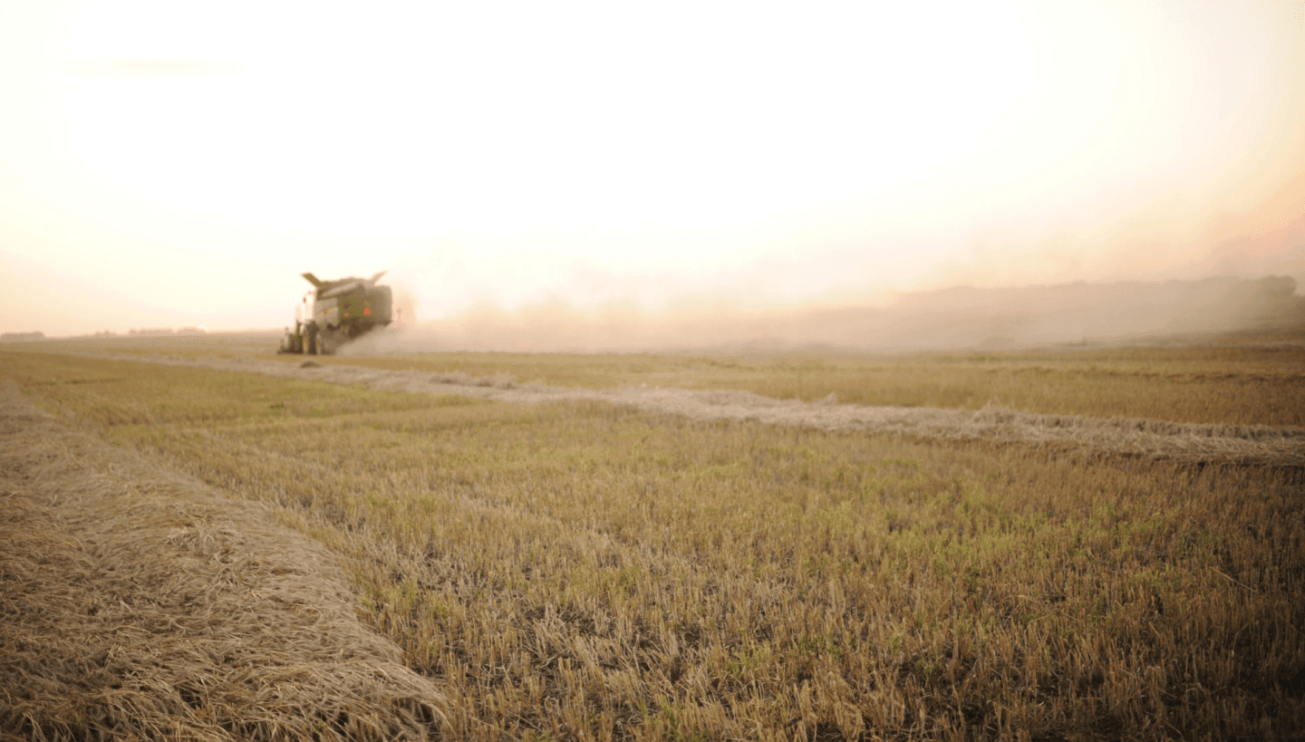 These Farm Distilleries Make Whiskey from Seed to Sip