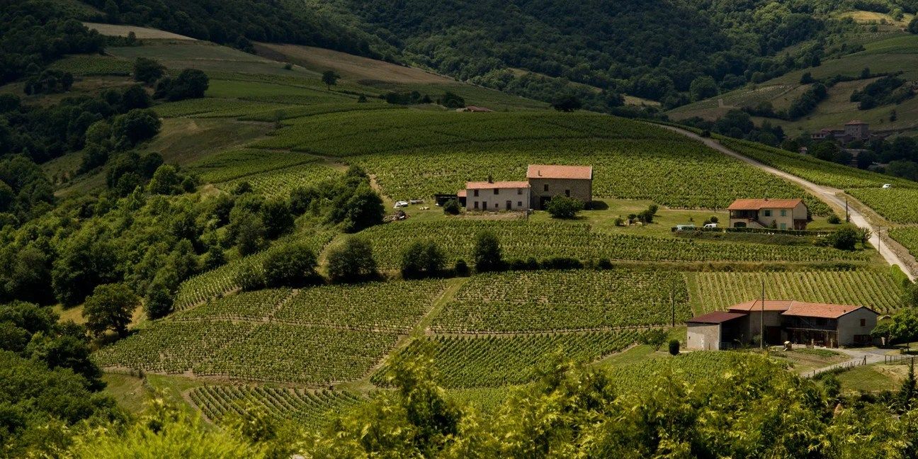 The Many Ways To Make Great Beaujolais (And The Women Who Make It)