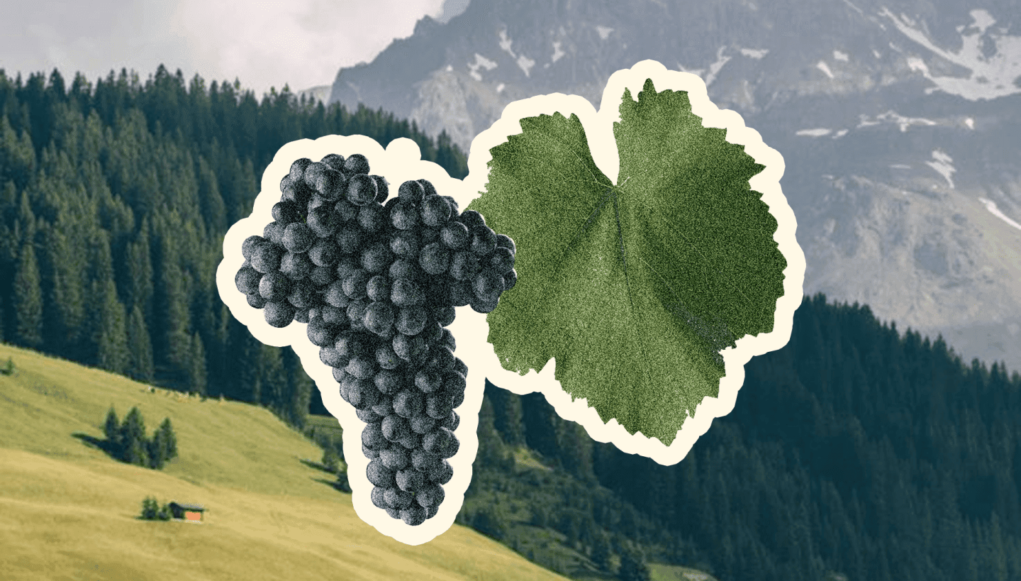 Blaufränkisch Is Great. Get Over The Name And Drink It.