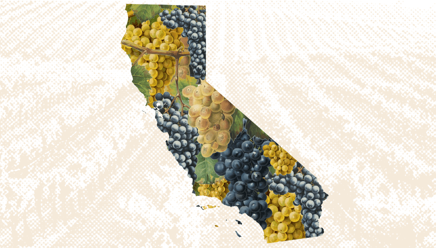 Off The Beaten Path Grapes In California (And The Winemakers That Love Them)
