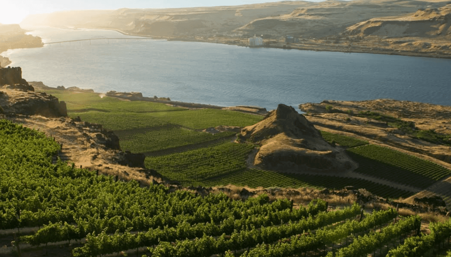 5 Producers We Love in Washington State