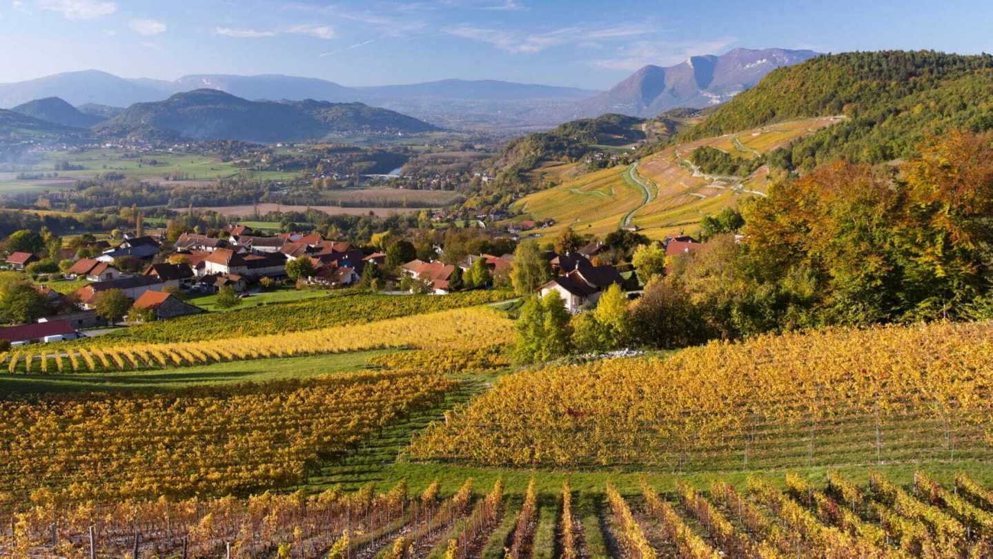 In the Shadow of Giants: A Journey Through Savoie