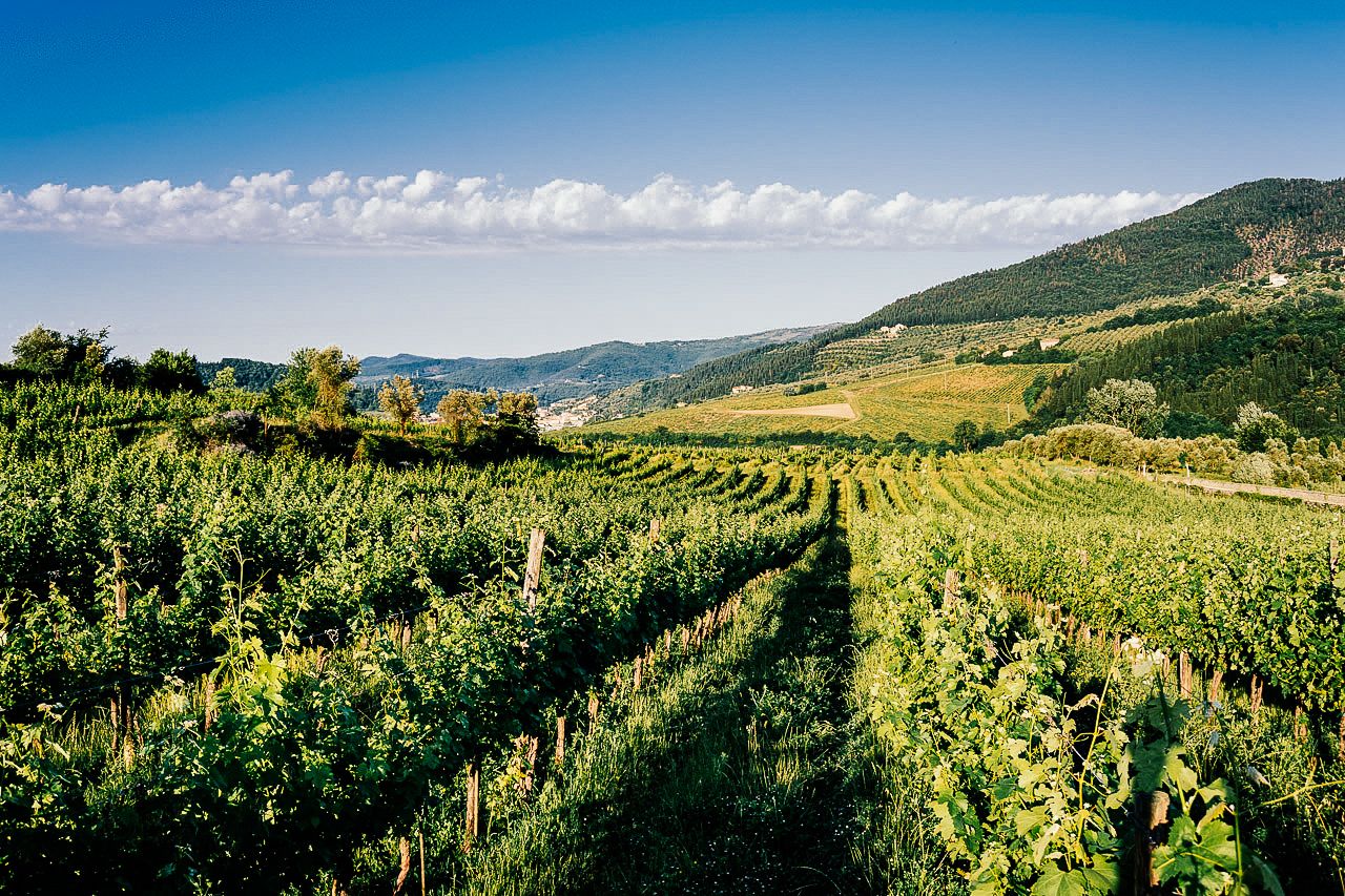 Alt Tuscany: The Next Great Wines From Central Italy