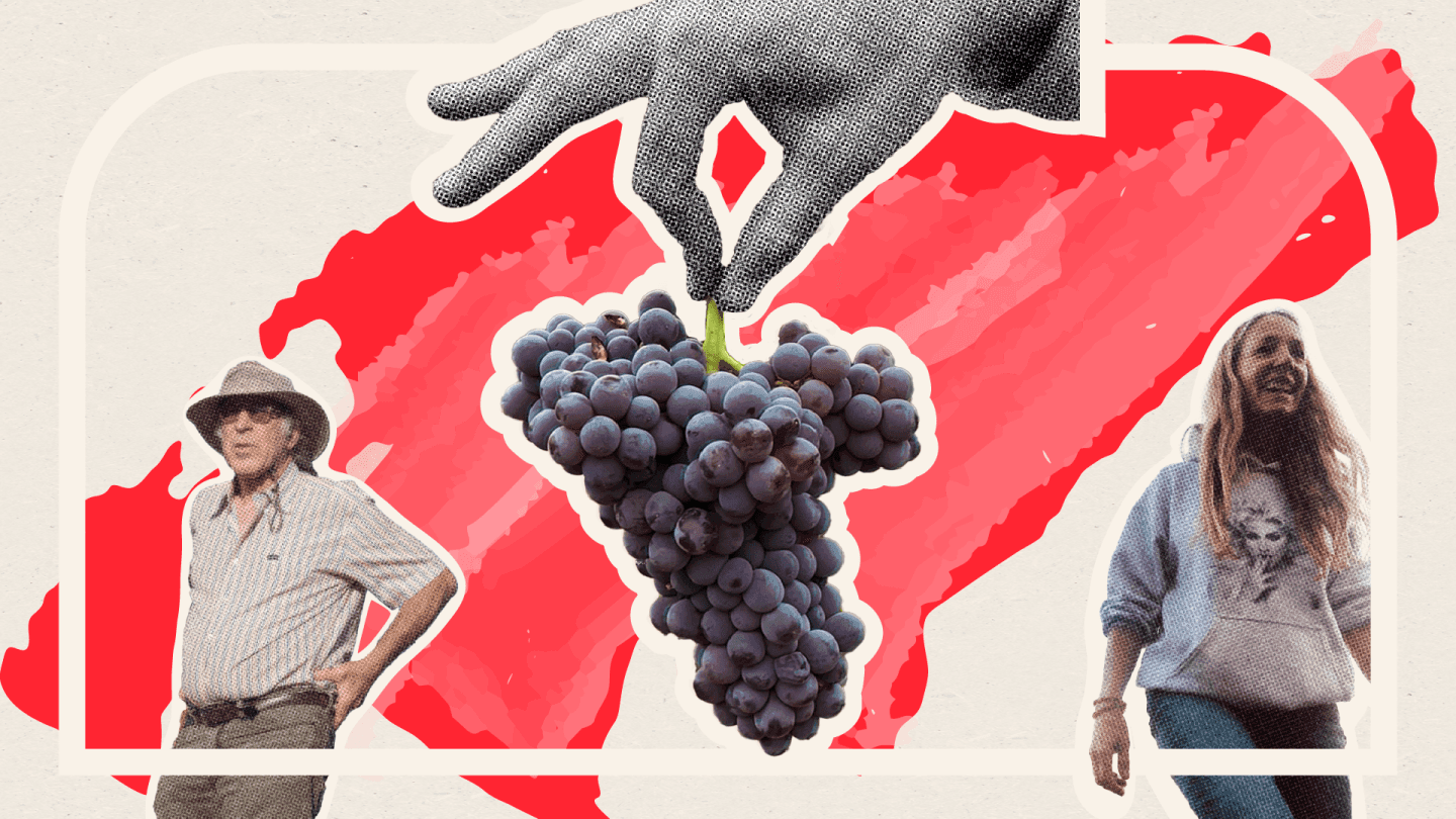 Think You Know California Grenache? Think Again