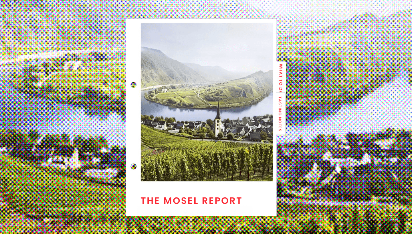 Mosel: A (Detailed) Tasting Report