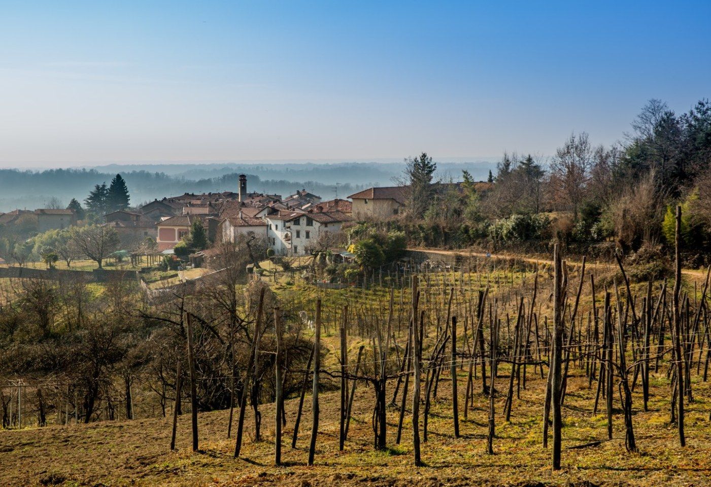 Alto Piemonte: The Next Great Address for Nebbiolo